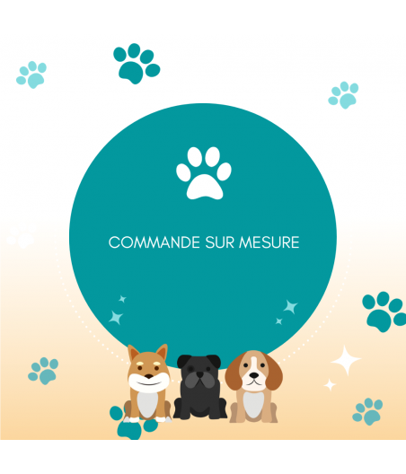 Commande Audrey et Talya
