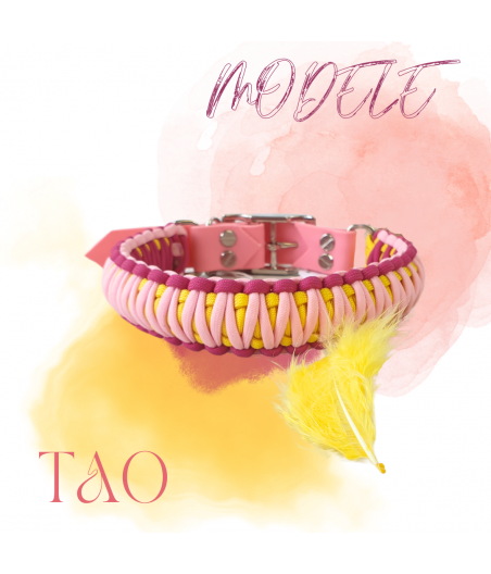TAO Rose pâle, fuschia et jaune sur mesure