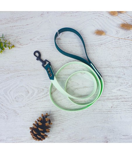 Laisse sangle hexa 1m20 menthe et vert foncé