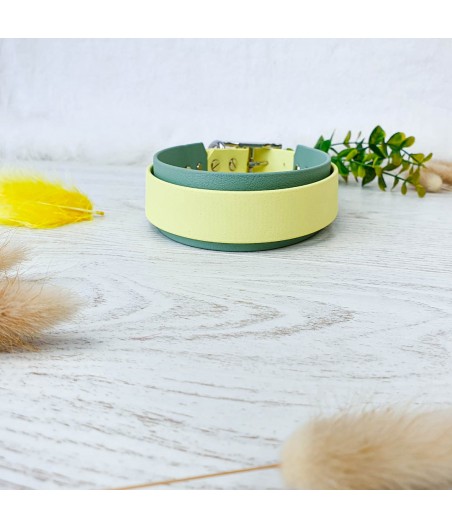 Collier biothane GEMMA vert et jaune