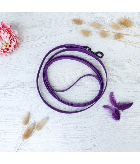 Laisse violette 2m sangle enduite