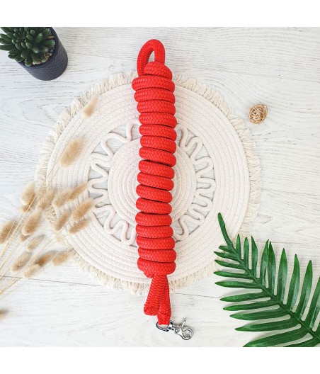Longe de travail cheval rouge 3m80