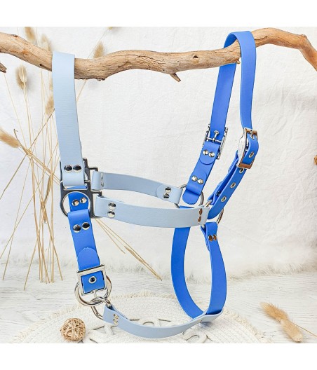 Licol cheval en biothane bleu gris