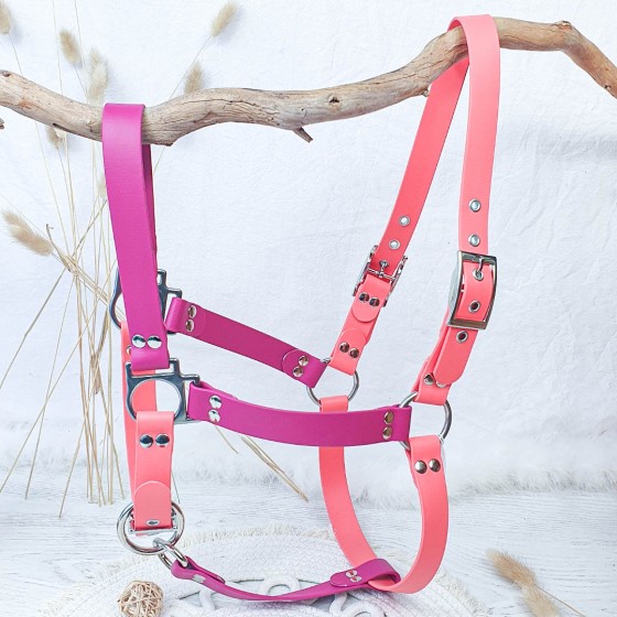 Licol cheval en biothane...