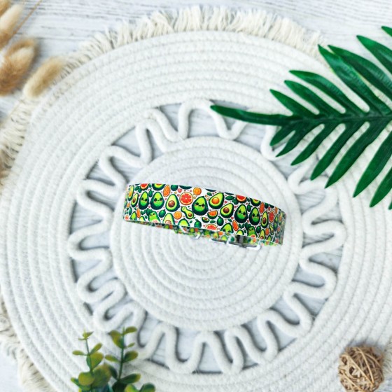 Collier biothane SIMPLY...