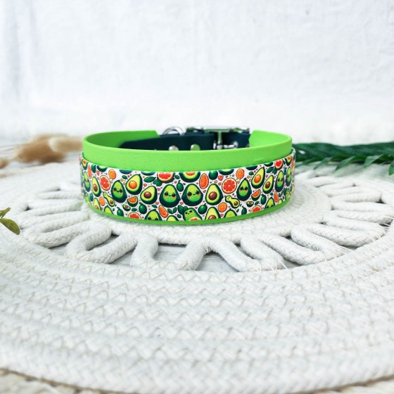 Collier biothane NASKA...