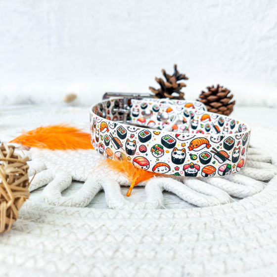 Collier biothane SIMPLY...