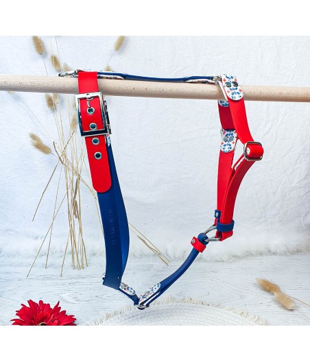 Harnais bicolor Rouge et Bleu avec biothane imprimé