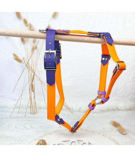 Harnais simply bicolor violet et peach