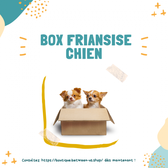 Box friandise Chien