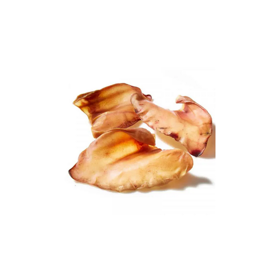 Oreille de Porc