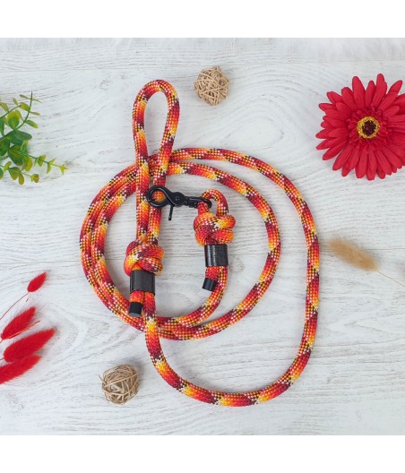 Laisse simple en corde – 10mm motif skylime